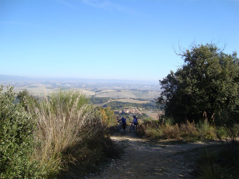 gal/2009/11 - Le escursioni della Ciclistica Valdarbia/2009_11_01-MURLO_poggio_all.jpg